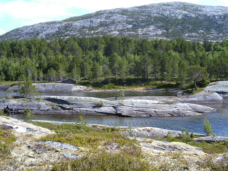 Nordkap 2009 446.jpg